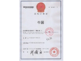 威尼斯wnsr888商标